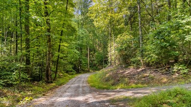 L 10/11 Bluebird Ridge Way, Sevierville, TN 37876 - photo 6