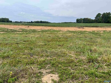 21534 Holland Rd, Athens, AL 35614 - photo 5