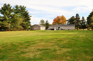 Back View