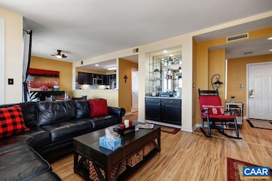 1707 High Ridge Condos, Wintergreen, VA 22958 - photo 4