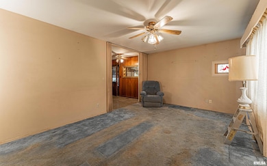 1519 Pekin St, Lincoln, IL 62656 - photo 5