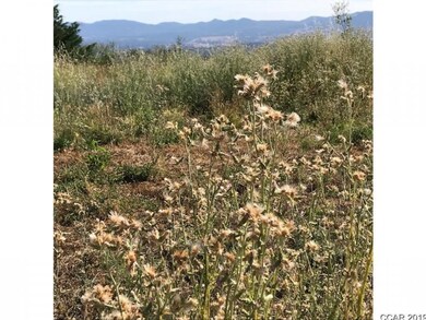 6190 Starlight Ln, Mountain Ranch, CA 95246 - photo 5