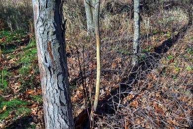 0 Turben Ridge Rd, Clayton, WI 54655 - photo 7