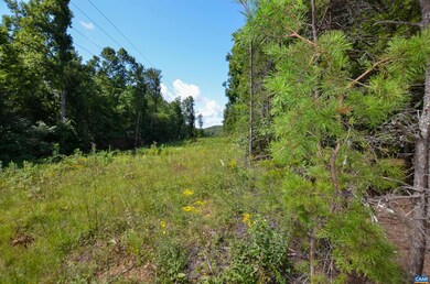 0 Dudley Mountain Rd unit 667914, North Garden, VA 22959 - photo 5