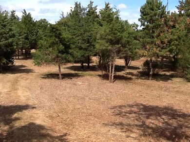 22 Scotchmans Ln, West Tisbury, MA 02568 - photo 4