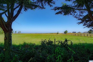 81 E Palmer St, Sequim, WA 98382 - photo 4