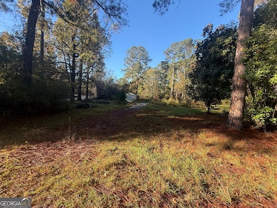 201 Waters Grove Rd, Sylvania, GA 30467 - photo 3