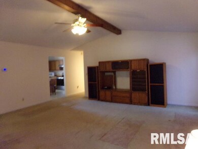 1409 Dorris Heights Rd, Harrisburg, IL 62946 - photo 6