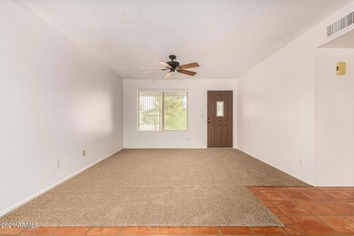 New Carpet