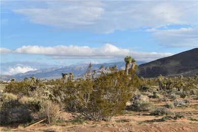 7157 Sunkist Rd, Joshua Tree, CA 92252 - photo 3