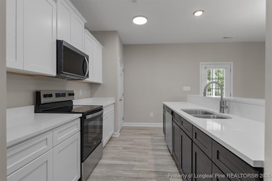 254 Dalton Dr, Lumber Bridge, NC 28357 - photo 5