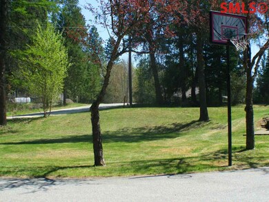 Basketball hoop on paved driveway that leads to th