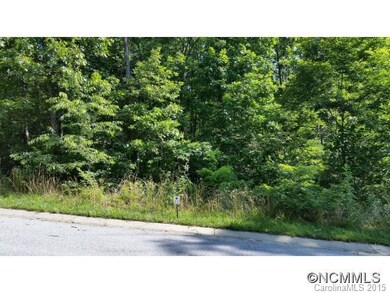 Wooded Lot with Mature Trees