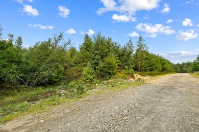 2-web-or-mls-117-black-bear-wy