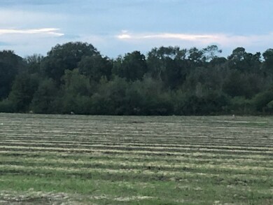 0 Jerry Young Rd unit 134444, Sumner, GA 31714 - photo 7