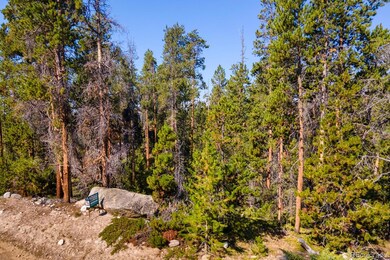 917 Tallaqua Dr, Grand Lake, CO 80447 - photo 6