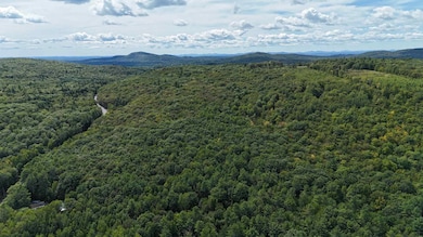 Lot 8 Bakerstown Rd, Poland, ME 04274 - photo 4