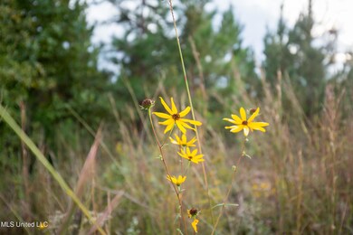 010 Attala Rd, McCool, MS 39108 - photo 7