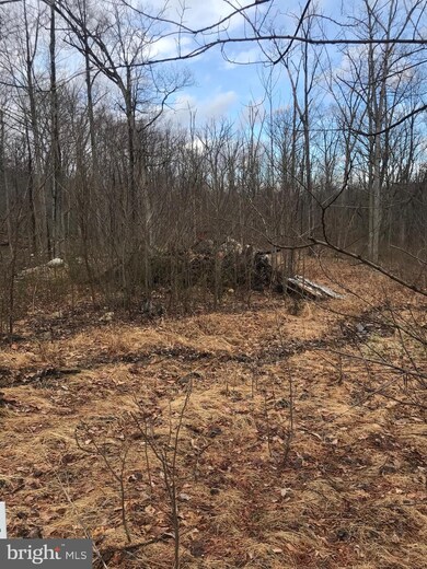 906 Ithaca, Winchester, VA 22601 - photo 7