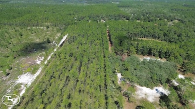 0 NE 212th Street Rd unit 25508545, Fort McCoy, FL 32134 - photo 7