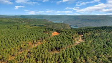 1335 Whispering Way, Guild, TN 37340 - photo 7