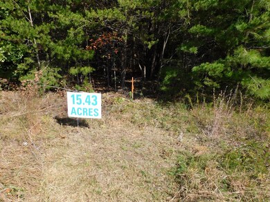 Front center survey marker