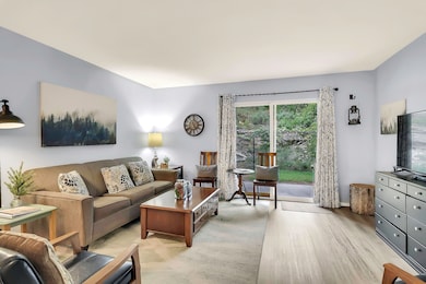 2963 Vineyards Pkwy unit 1, Branson, MO 65616 - photo 7