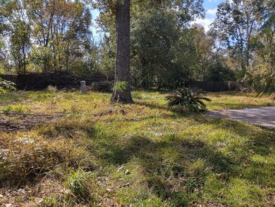 1230 Palm Dr, Huffman, TX 77336 - photo 5