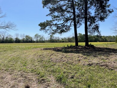 4207 Sumner Rd, Moultrie, GA 31768 - photo 2