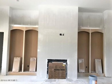 fireplace and built ins