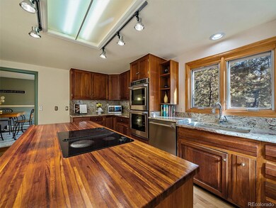 33913 Upper Bear Creek Rd, Evergreen, CO 80439 - photo 6