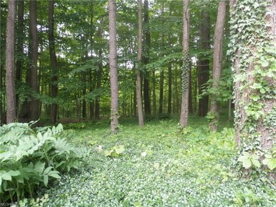 Enjoy your daily walks through your own forest!