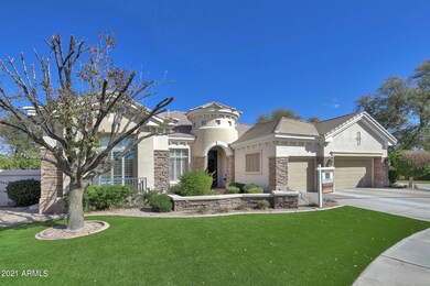 Turf Lawn