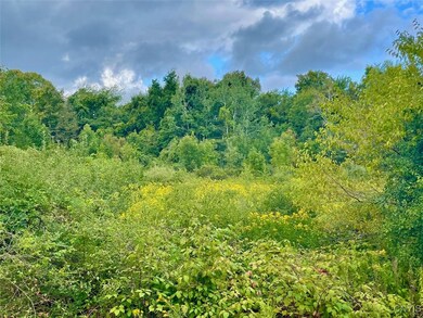 0 Maiden Lane Rd unit S1636648, Oswego, NY 13126 - photo 3