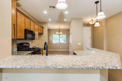 1376 W Apricot Ave, San Tan Valley, AZ 85140 - photo 7