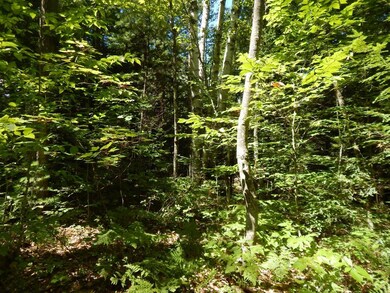 11 Valley Rd, Center Ossipee, NH 03814 - photo 3