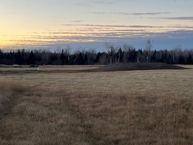 16068 County Road 56, Nashwauk, MN 55769 - photo 5