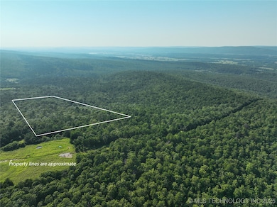 1 SE Hulsey Prairie, Panola, OK 74578 - photo 3