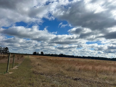 0 Gum Swamp Rd, Sellers, SC 29592 - photo 7