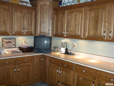 831 S Plum St, Virginia, IL 62691 - photo 7