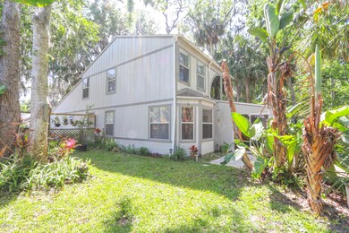 back-yard