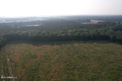DJI_0177