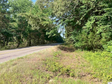 000 State Route 520 unit est 52 acres, Homer, LA 71040 - photo 6