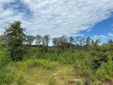 25 Rolling Ridge Rd, Seale, AL 36875 - photo 6