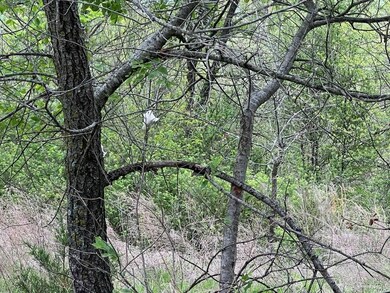 0 State Highway D, Thornfield Township, MO 65762 - photo 6