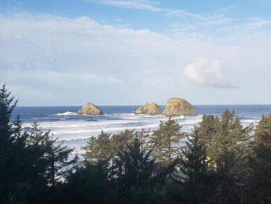 view from deck of house next door