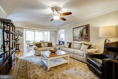 5901 Mount Eagle Dr unit 618, Alexandria, VA 22303 - photo 3