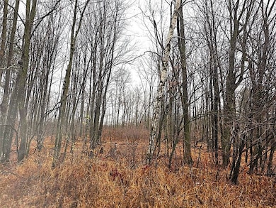 1141 12th Ave, Barron, WI 54812 - photo 6