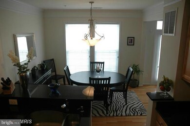 41943 Blue Flag Terrace unit 66, Stone Ridge, VA 20105 - photo 6