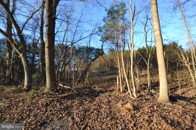 1312 Ednor Rd, Silver Spring, MD 20905 - photo 7